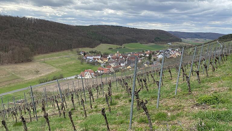 Weinberge und Weitblicke: Der 'Rhön-Rundweg 5 Saaletal' hat beides zu bieten.