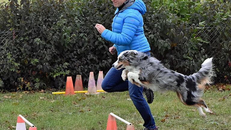 Karin Krauser vom Verein für Hundesport Wonfurt belegte beim Hindernislauf mit ihrem Hund &bdquo;Flocke&ldquo; den ersten Platz in ihrer Altersklasse.
