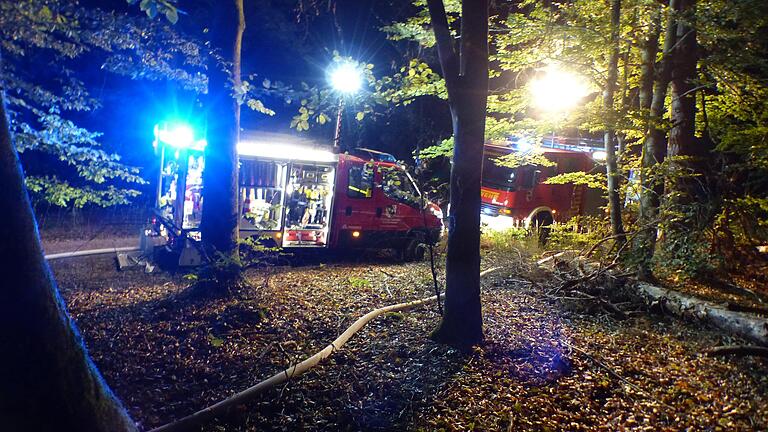 Feuer im Wald zwischen Dimbach und Reupelsdorf: Die Feuerwehren waren in der Nacht zu Freitag im Großeinsatz. Feuer im Wald zwischen Dimbach und Reupelsdorf: Die Feuerwehren waren in der Nacht zu Freitag im Großeinsatz.