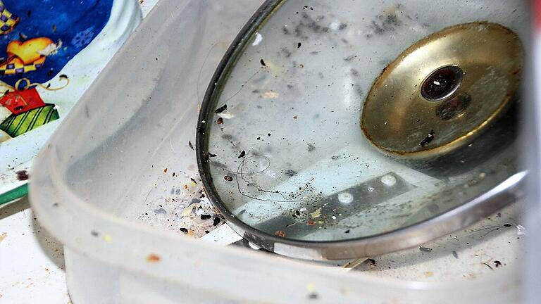 mietnomaden foto diana fuchs (1)       -  Insektenkot, Haare, Dreck: In den Küchenschränken finden die Vermieter äußerst Unappetitliches.