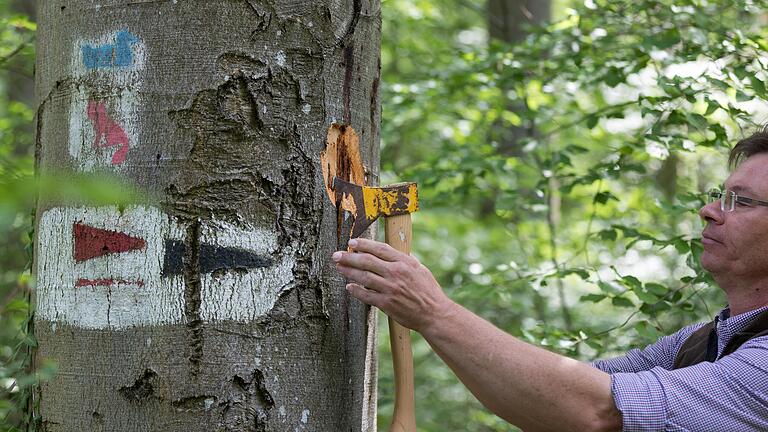 Die Auswirkungen des Klimawandels sind auch in Würzburg zu sehen: Viele Bäume im Stadtgebiet sind bereits abgestorben. Viele Parteien sind sich in dem Punkt einig: Es muss mehr für den Klimaschutz getan werden. Die Auswirkungen des Klimawandels sind auch in Würzburg zu sehen: Viele Bäume im Stadtgebiet sind bereits abgestorben. Viele Parteien sind sich in dem Punkt einig: Es muss mehr für den Klimaschutz getan werden.