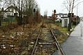Die Trasse der Steigerwaldbahn in ihrem aktuellen Zustand in Wiesentheid.&nbsp;