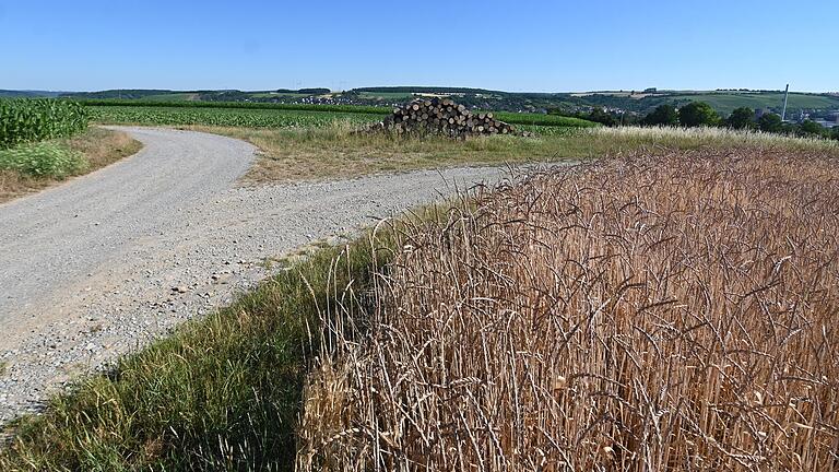 Kein Baugebiet am Oberen Dümmersberg (Archivbild) in Ochsenfurt: Die Wahl konnte die Bürgerinitiative eindeutig für sich entscheiden. Kein Baugebiet am Oberen Dümmersberg (Archivbild) in Ochsenfurt: Die Wahl konnte die Bürgerinitiative eindeutig für sich entscheiden.