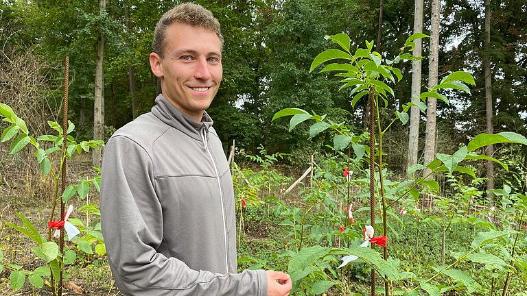 Christoph Müller zeigt im Wald bei Birkenfeld junge Walnussbäume, die ihm Hoffnung im Umgang mit dem Klimawandel machen. Christoph Müller zeigt im Wald bei Birkenfeld junge Walnussbäume, die ihm Hoffnung im Umgang mit dem Klimawandel machen.