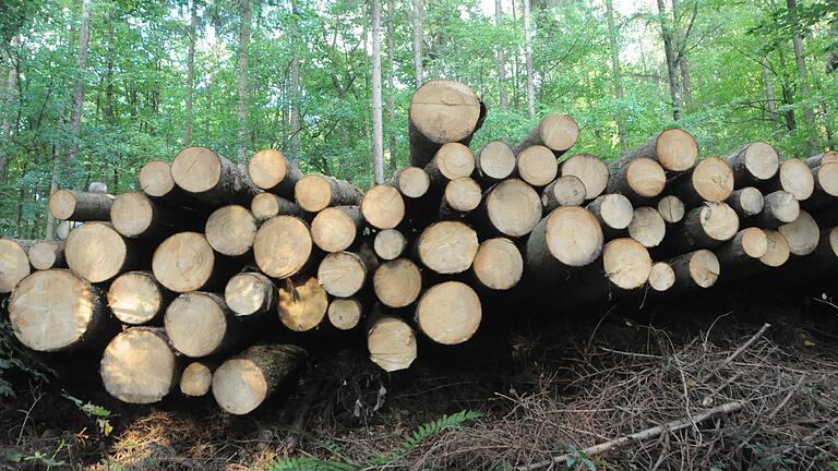 Im Bundorfer Gemeindewald mussten 2022 deutlich mehr Festmeter Holz geschlagen werden als geplant (Symbolbild). Der Grund hierfür sind Schäden an den Bäumen, etwa durch den Borkenkäfer. Im Bundorfer Gemeindewald mussten 2022 deutlich mehr Festmeter Holz geschlagen werden als geplant (Symbolbild). Der Grund hierfür sind Schäden an den Bäumen, etwa durch den Borkenkäfer.