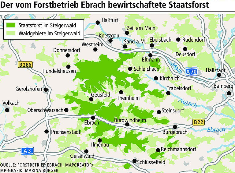 6 Fakten: Was geschieht mit dem Holz aus dem Steigerwald? 6 Fakten: Was geschieht mit dem Holz aus dem Steigerwald?