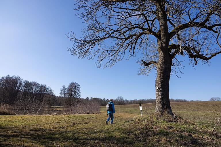 Die Erlebnistour 'Wasserschloss und Reuthsee' ist eine Rundwanderung im Naturpark Haßberge. Die Erlebnistour 'Wasserschloss und Reuthsee' ist eine Rundwanderung im Naturpark Haßberge.