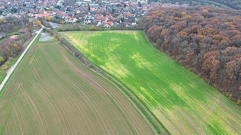 Auf der spitz zulaufenden Ackerfläche (links) soll der Neubau der Realschule in Schonungen errichtet werden.