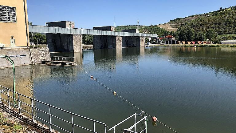 An der Staustufe Erlabrunn werden Wasserproben entnommen. Der Sauerstoffgehalt im Main ist derzeit wegen der großen Hitze und Trockenheit zu gering. An der Staustufe Erlabrunn werden Wasserproben entnommen. Der Sauerstoffgehalt im Main ist derzeit wegen der großen Hitze und Trockenheit zu gering.