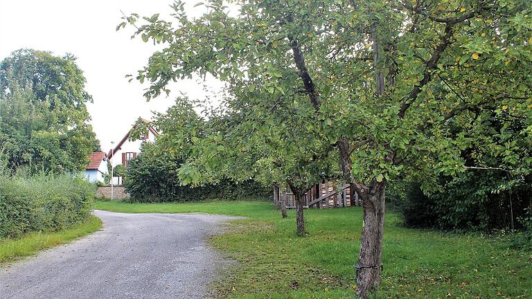 Der Platz für den neuen Kindergarten in Wiesentheid: Der Gemeinderat votierte für die Fläche am Lindachsgraben, direkt hinter dem Pfarrheim.