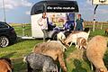 Der neuen Pferdeanhänger der Arche Noah mit (von links) Sandra Knaus, Geschäftsführerin Helmut Knaus KG Campingparks, und Tanja Dürr, Vorsitzende der Wander- und Naturfreunde.