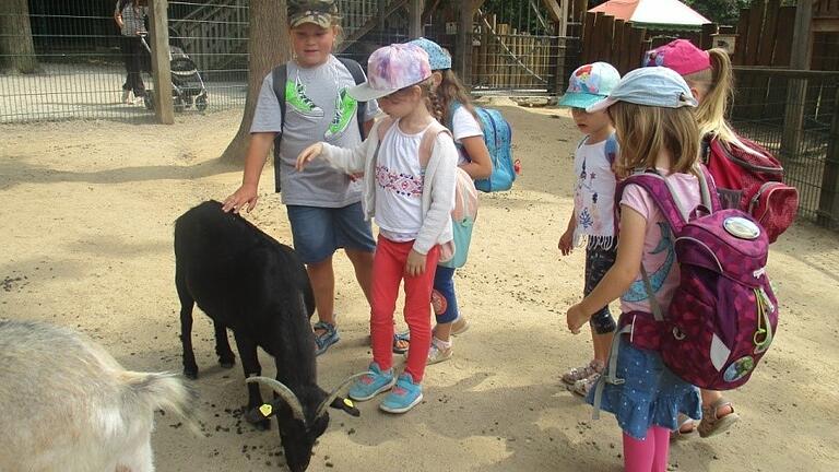 Die Blumen- und Sonnenkinder Kinder des Kinderhauses Niederlauer besuchten den Wildpark Drei Eichen in Schweinfurt. Die Blumen- und Sonnenkinder Kinder des Kinderhauses Niederlauer besuchten den Wildpark Drei Eichen in Schweinfurt.