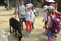 Die Blumen- und Sonnenkinder Kinder des Kinderhauses Niederlauer besuchten den Wildpark Drei Eichen in Schweinfurt.