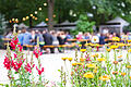 Schöppeln in blumiger Kulisse: Jetzt ist wieder Weinfest im Hofgarten der Würzburger Residenz.&nbsp;