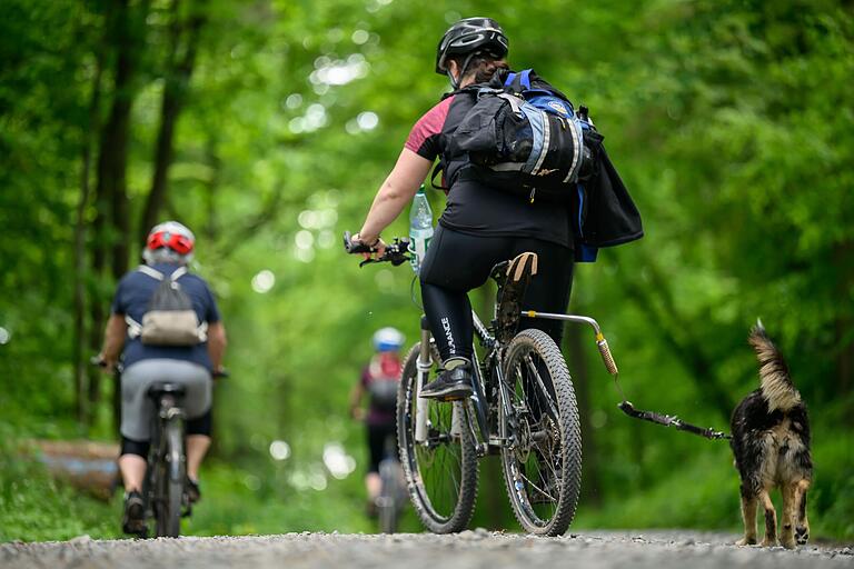 Oberhalb von Nassach verlassen wir die historische Transitstrecke durch den Wald und machen uns an die Abfahrt. Vorsicht, der Untergrund ist lose, nicht übertreiben mit der Geschwindigkeit Oberhalb von Nassach verlassen wir die historische Transitstrecke durch den Wald und machen uns an die Abfahrt. Vorsicht, der Untergrund ist lose, nicht übertreiben mit der Geschwindigkeit