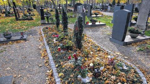 Kleiner Park: Im Hauptfriedhof Würzburg finden sich unterschiedlich gestaltete Bereiche, in denen Urnen aufgenommen werden.