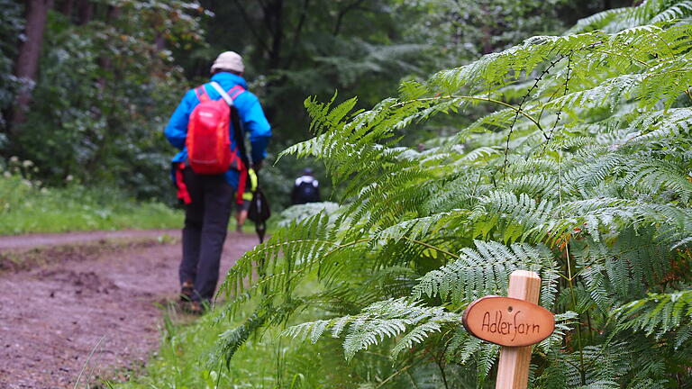 Wandertage durch den Truppenübungsplatz Wildflecken       -  Eindrücke von der Wanderung durch den Truppenübungsplatz Wildflecken.