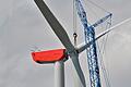 Der Windpark im Bildhäuser Forst war Thema im Gemeinderat von Wülfershausen.