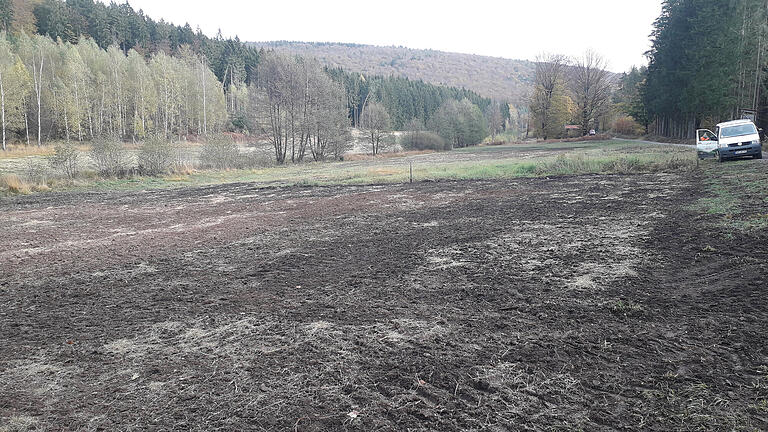 Eine angesäte Wiesenflächen im Naturschutzgebiet Weihersgrund. Eine angesäte Wiesenflächen im Naturschutzgebiet Weihersgrund.