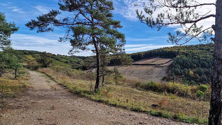 Von der Höhfeldplatte voll einsehbar sind die gegen den Protest der Bevölkerung erfolgten umfangreichen Laubwald-Rodungen des Schotterwerks Benkert in den Jahren 2018 bis 2020 zur Erweiterung des Steinbruchs. Von der Höhfeldplatte voll einsehbar sind die gegen den Protest der Bevölkerung erfolgten umfangreichen Laubwald-Rodungen des Schotterwerks Benkert in den Jahren 2018 bis 2020 zur Erweiterung des Steinbruchs.