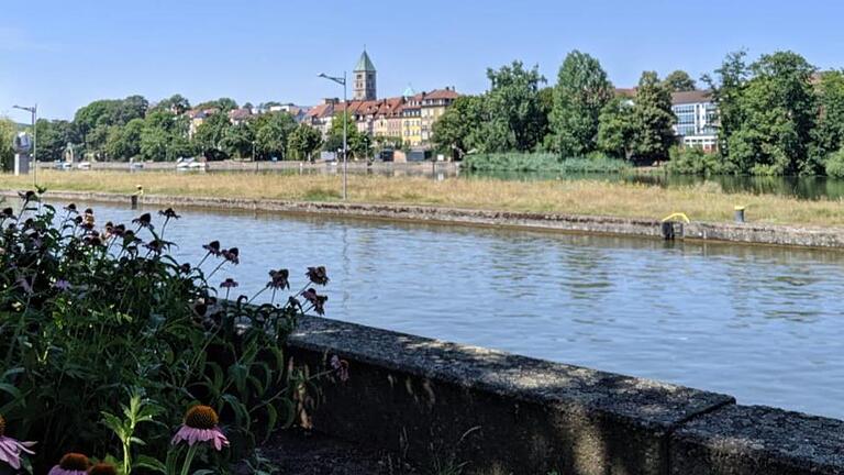 Der Blick auf die Gutermann-Promenade von der gegenüber liegenden Mainseite aus. In der Mitte: der Turm der Heilig-Geist-Kirche.  Fotos: (4): Touristinformation Schweinfurt 360°       -  Der Blick auf die Gutermann-Promenade von der gegenüber liegenden Mainseite aus. In der Mitte: der Turm der Heilig-Geist-Kirche.  Fotos: (4): Touristinformation Schweinfurt 360°